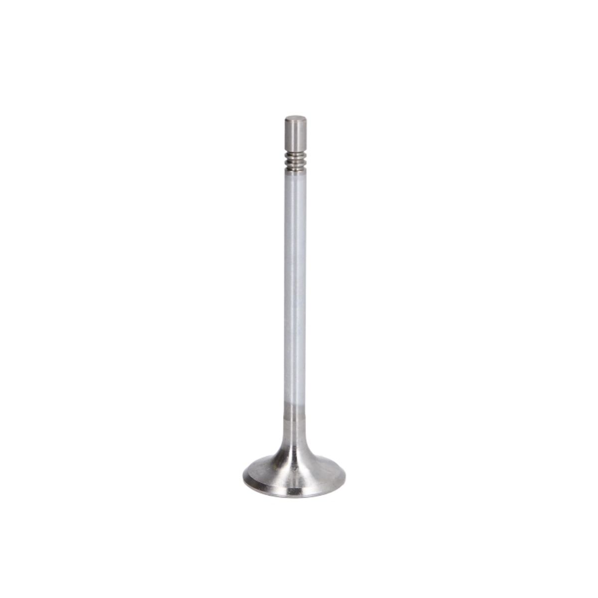 Imuventtiili FRECCIA R6473/SCR