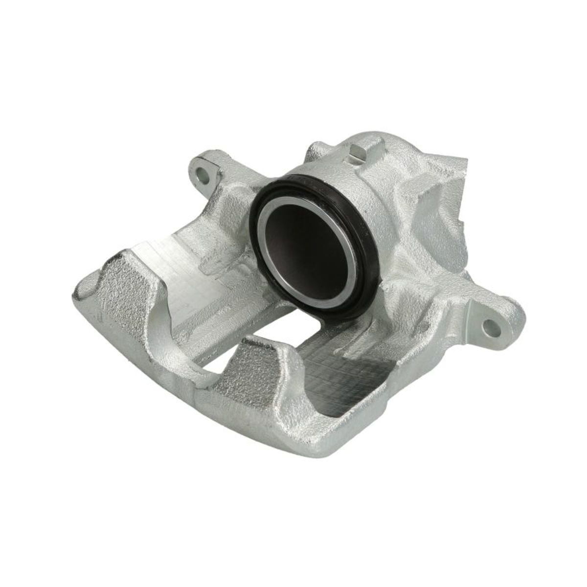 Jarrusatula BUDWEG CALIPER 341794