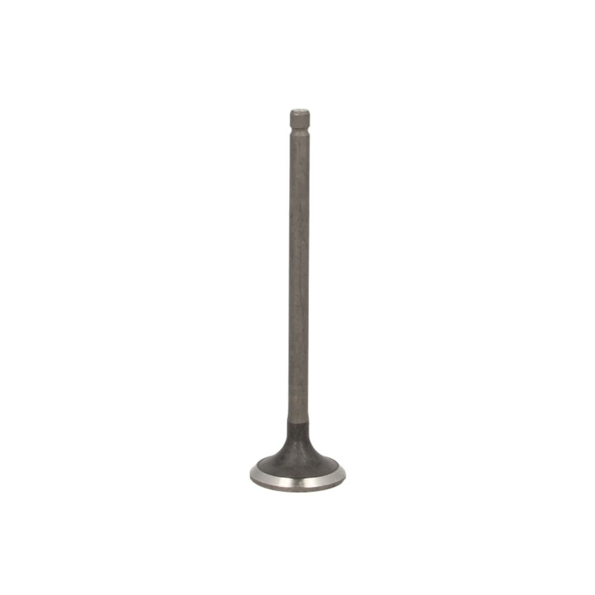 Pakoventtiili FRECCIA R6558/RNT