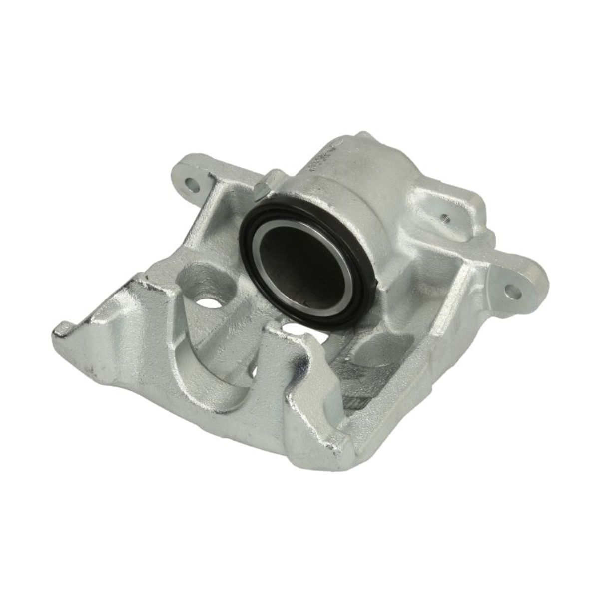 Jarrusatula BUDWEG CALIPER 342443