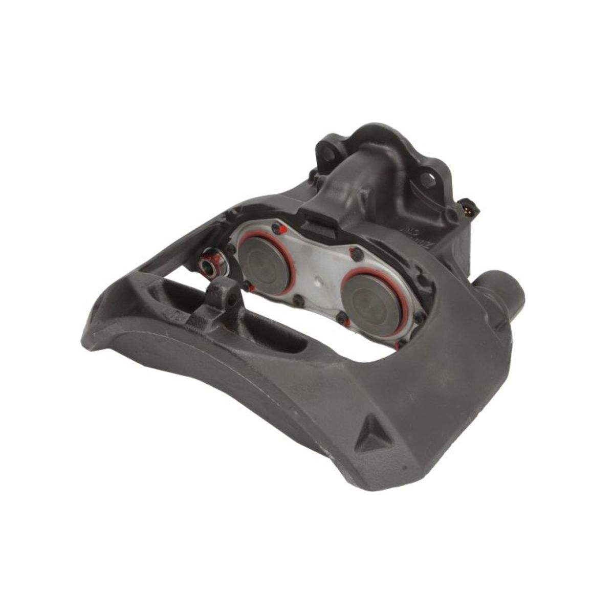 Jarrusatula SBP TEQ-MA.002