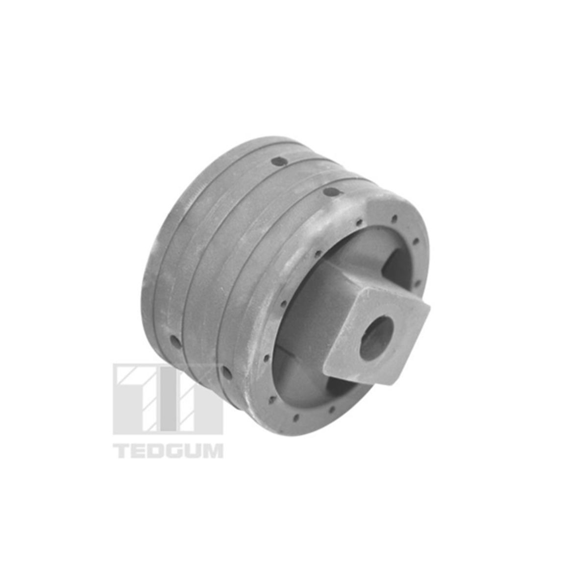 Moottorin tuki TEDGUM 00741004