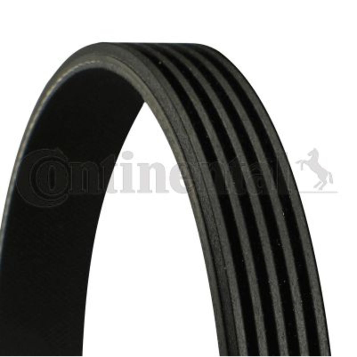 Moniurahihna CONTITECH 5PK868 ELAST