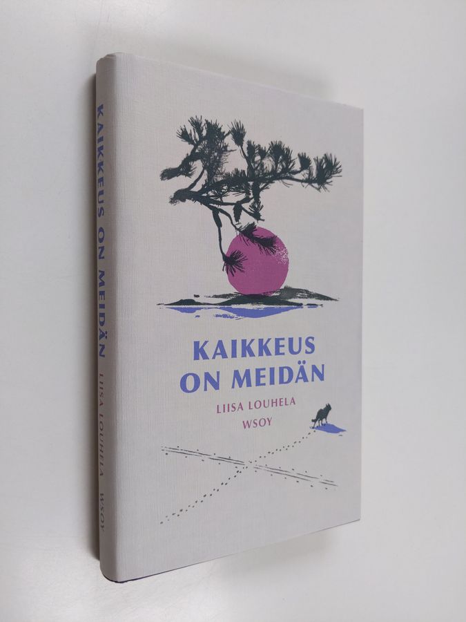 Kaikkeus on meidän