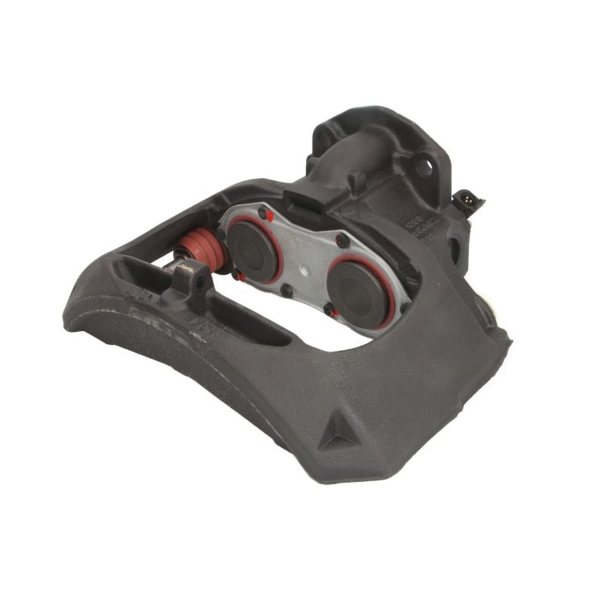 Jarrusatula SBP TEQ-SC.001