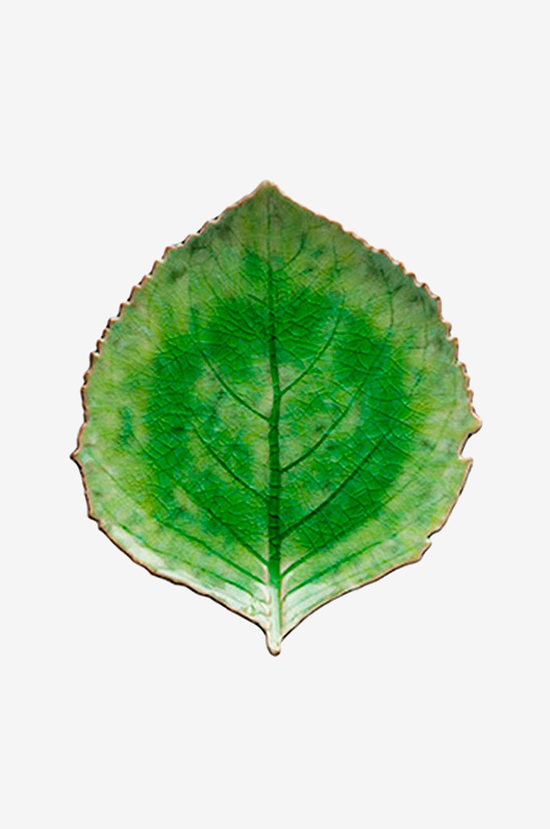 Costa Nova Lautasortimentin Hortensia Riviera 22 x 19 cm Vihreä/Musta Keramiikka