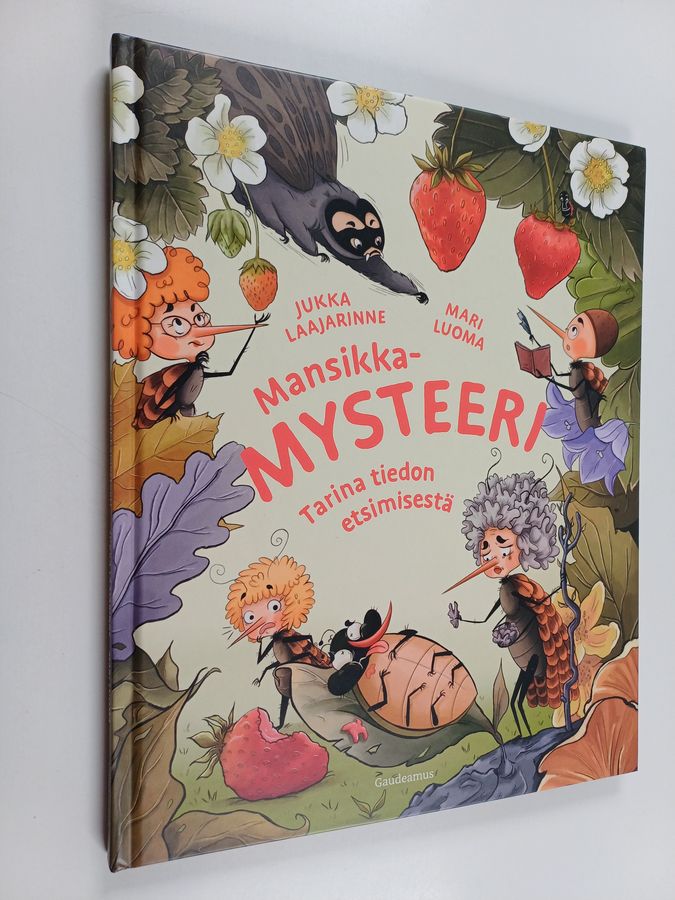 Mansikkamysteeri