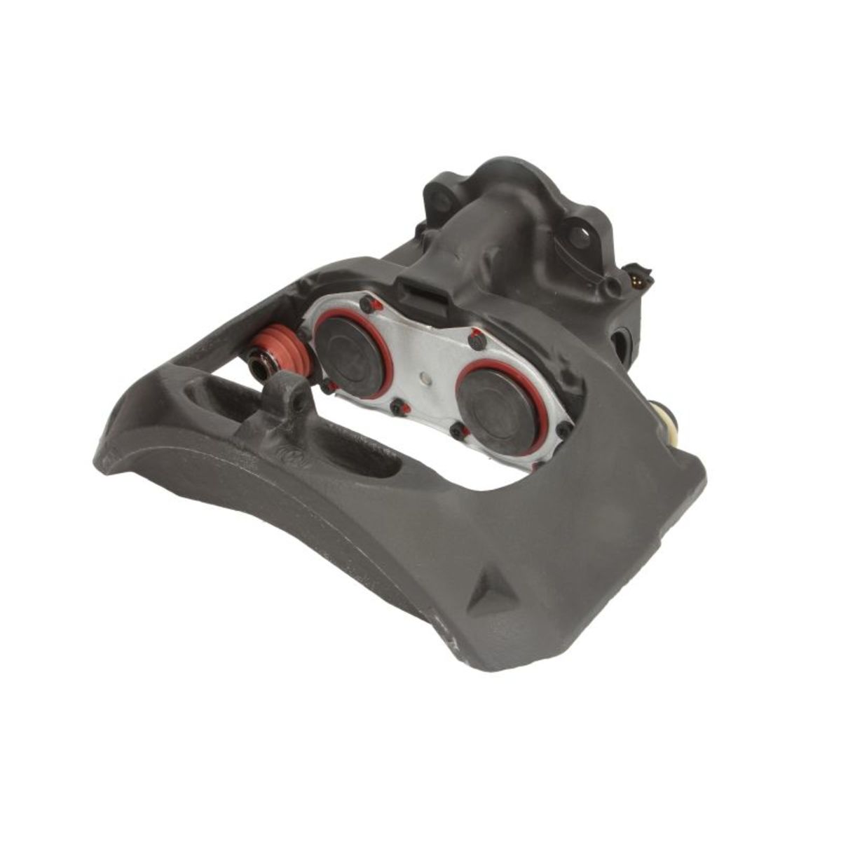 Jarrusatula SBP TEQ-MA.001
