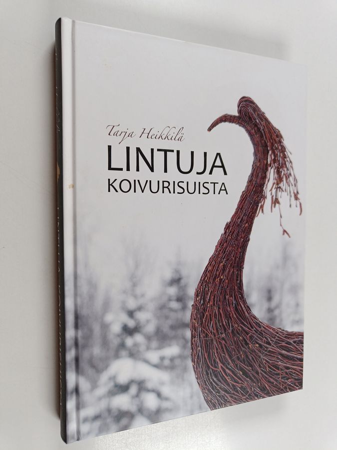Lintuja koivurisuista