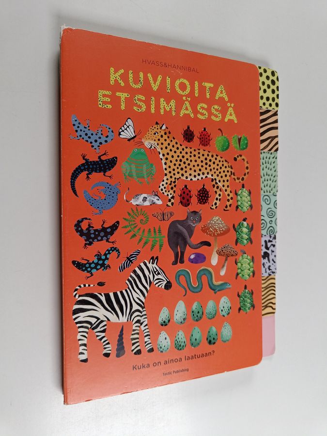 Kuvioita etsimässä