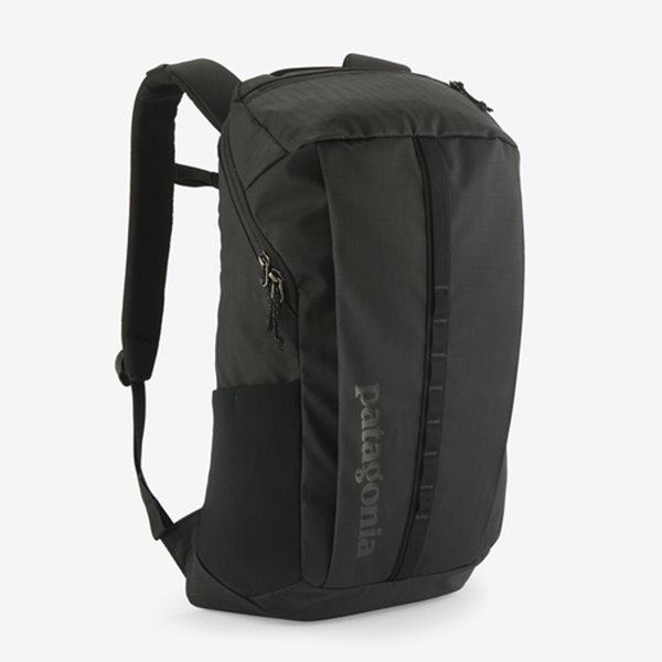 Patagonia Black Hole Pack 25L Black - NoSize