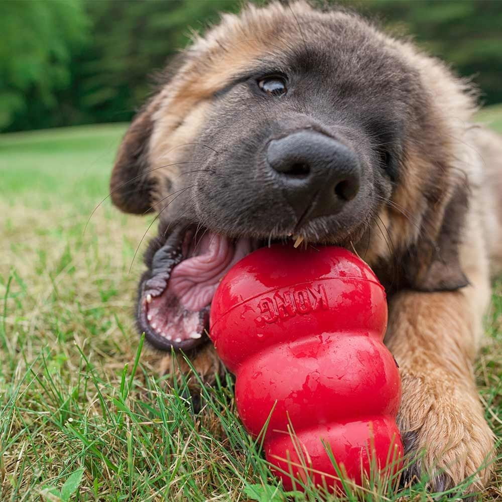 KONG Dog Toy Kong Classic XLarge 12.7cm