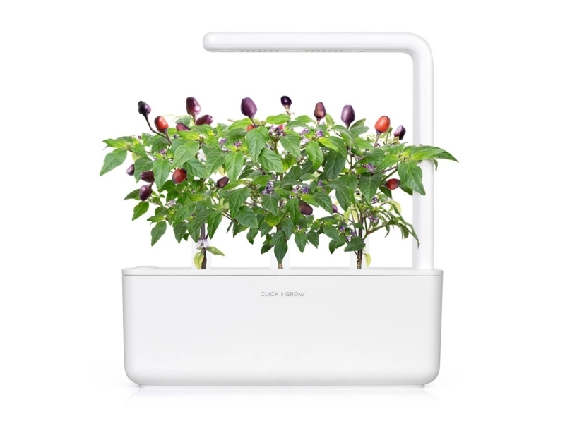 Click & Grow Smart Garden 9-pack refill - Purple Chili Pepper