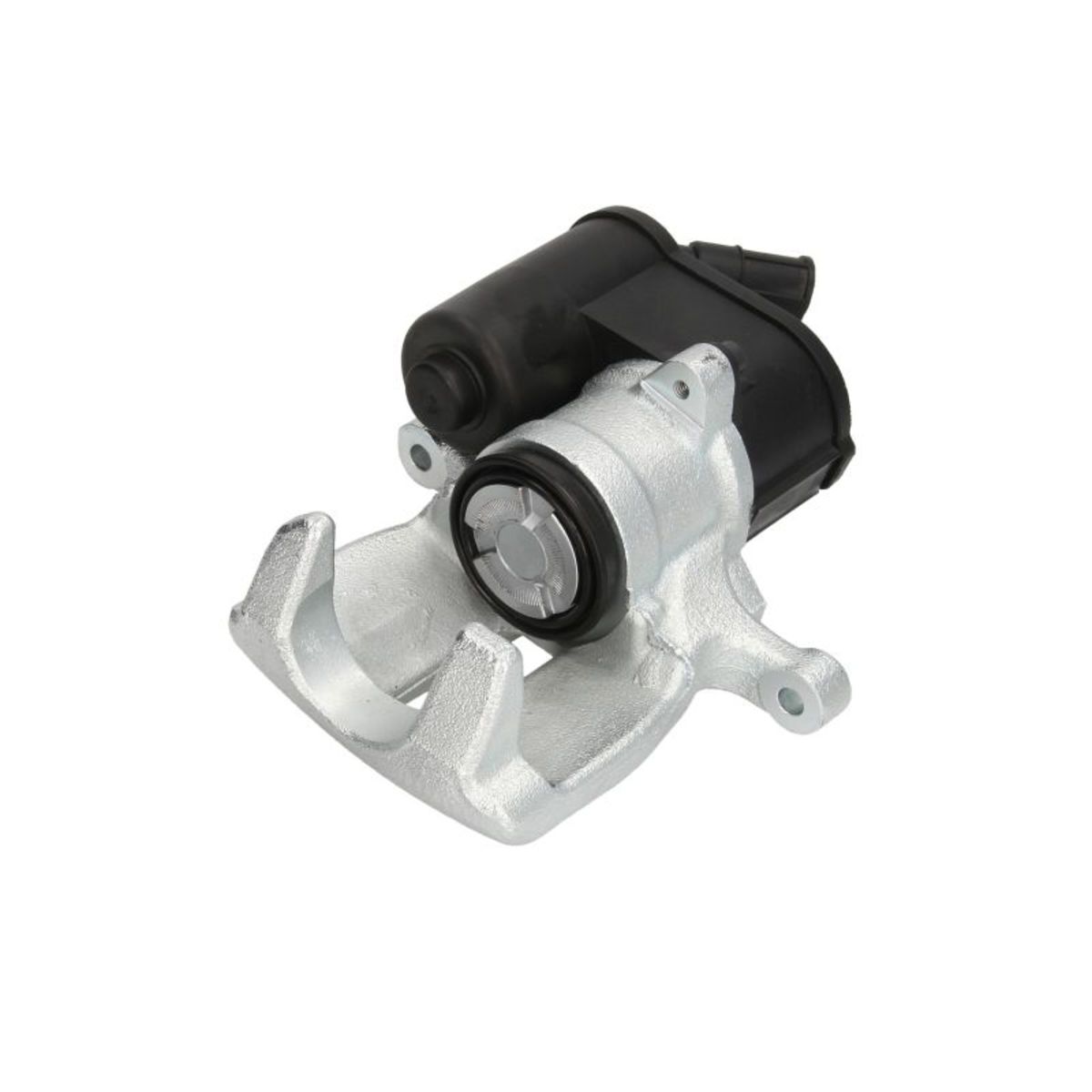 Jarrusatula BUDWEG CALIPER 344273