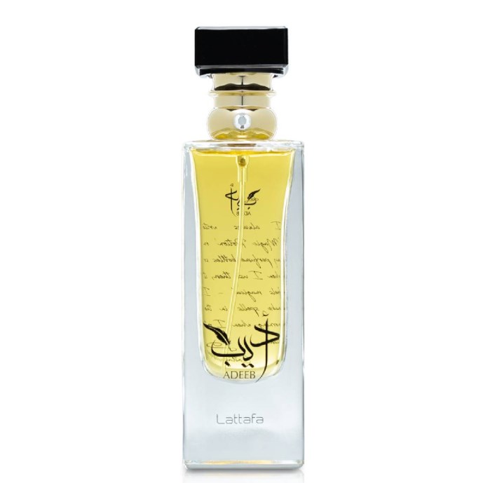 Lattafa Adeeb Eau de Parfum 80 ml