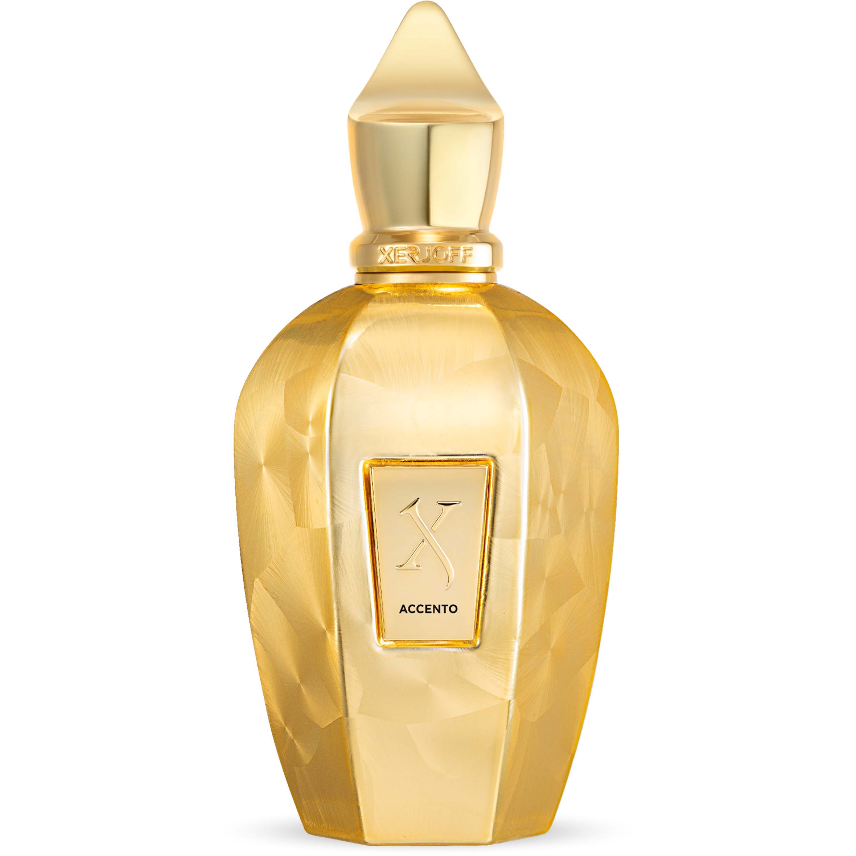 Xerjoff Accento Overdose EDP 100 ml