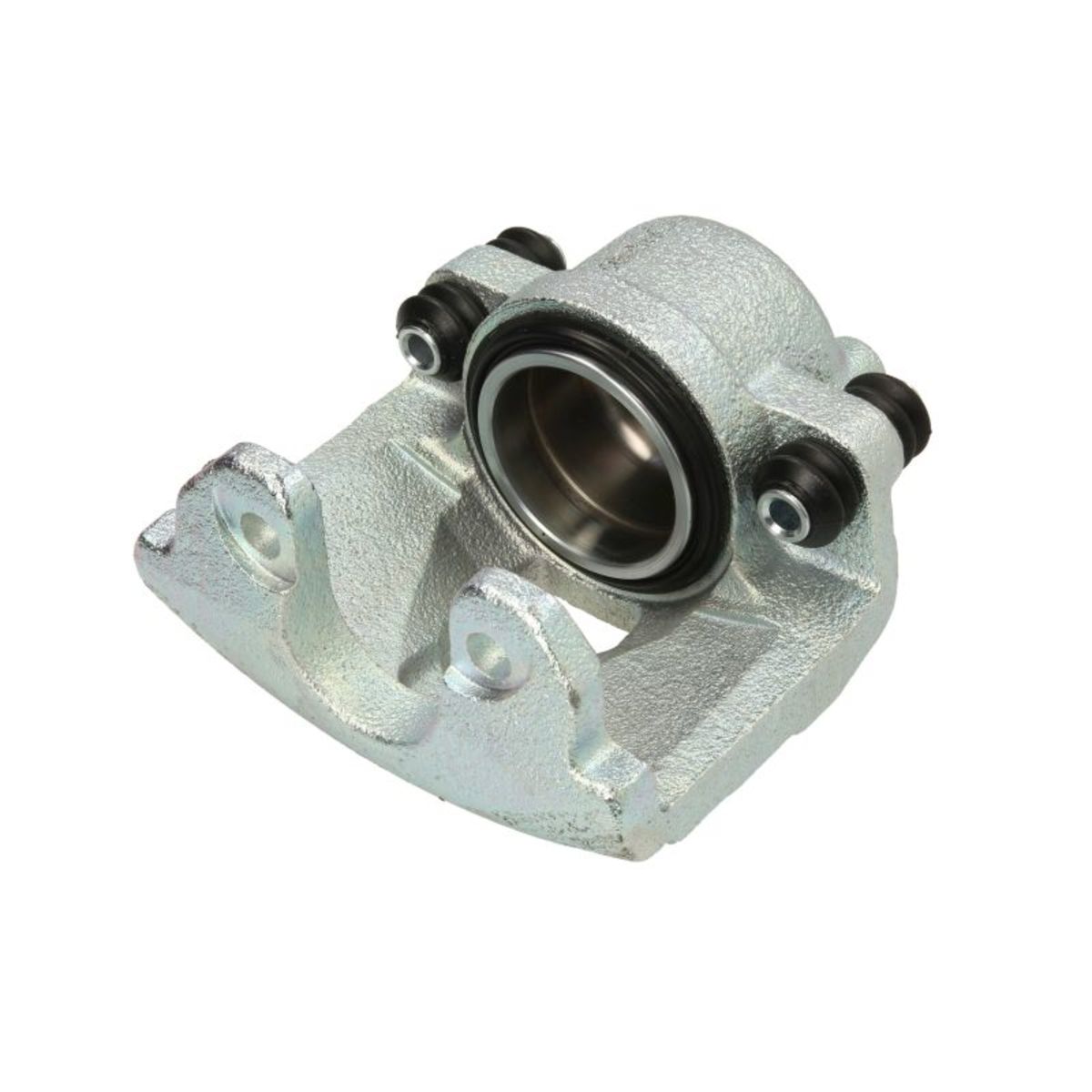 Jarrusatula BUDWEG CALIPER 343924