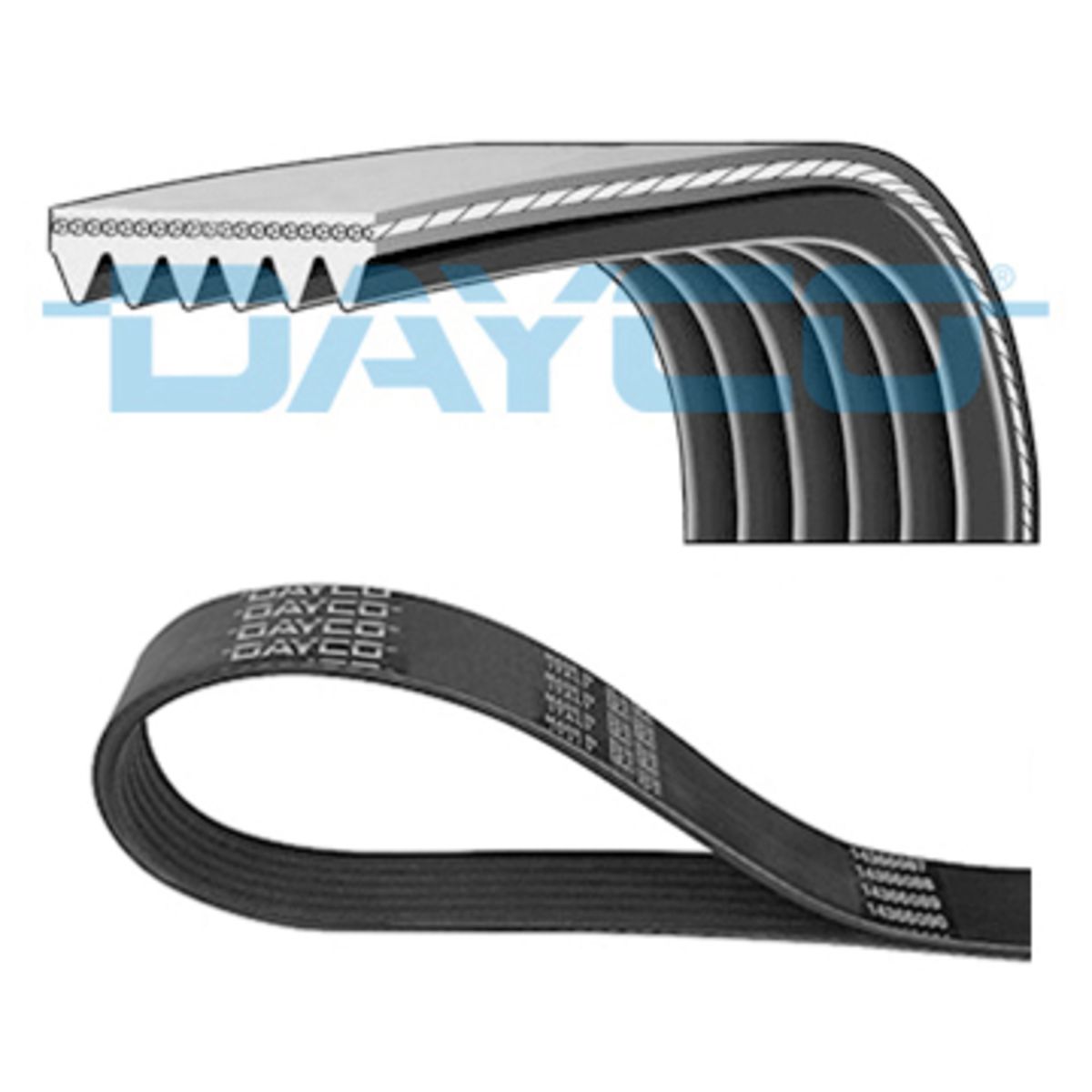 Moniurahihna DAYCO 6PK1281H
