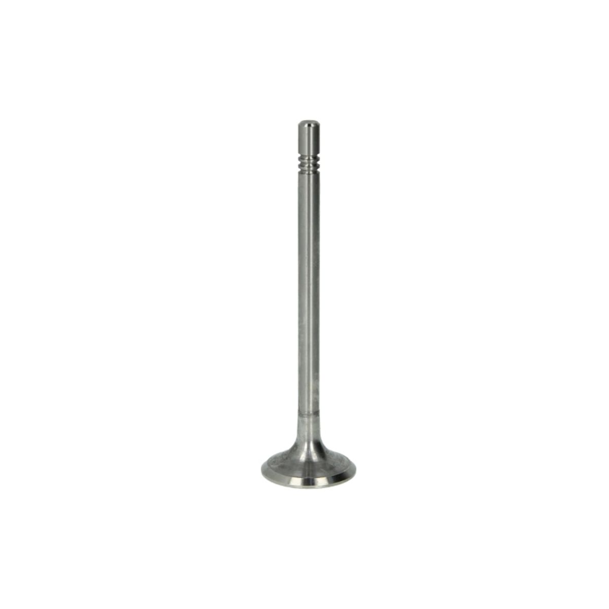 Imuventtiili FRECCIA R6690/S