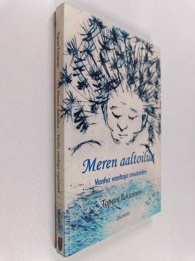 Meren aaltoilua