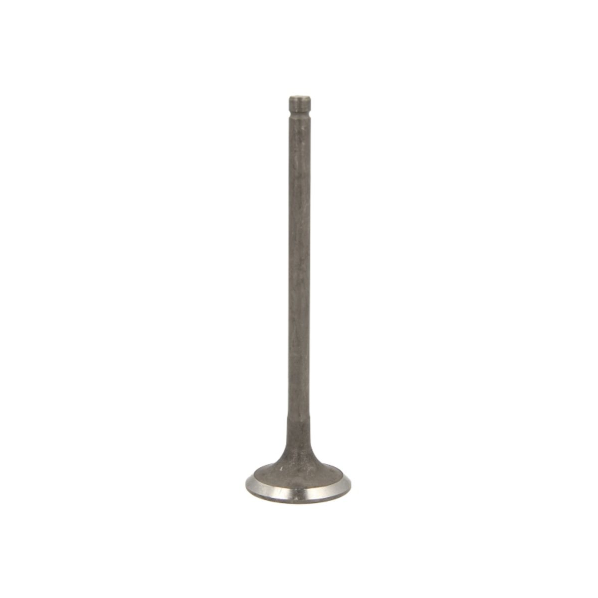Pakoventtiili FRECCIA R6569/RNT