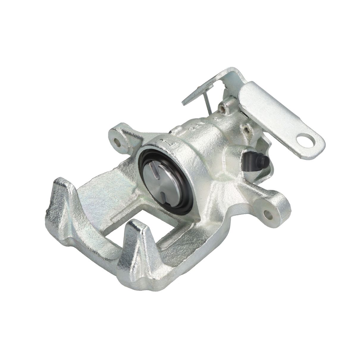 Jarrusatula BUDWEG CALIPER 344922