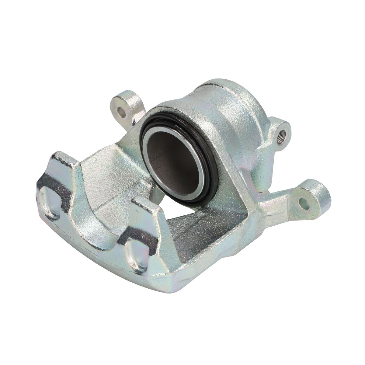 Jarrusatula BUDWEG CALIPER 344599