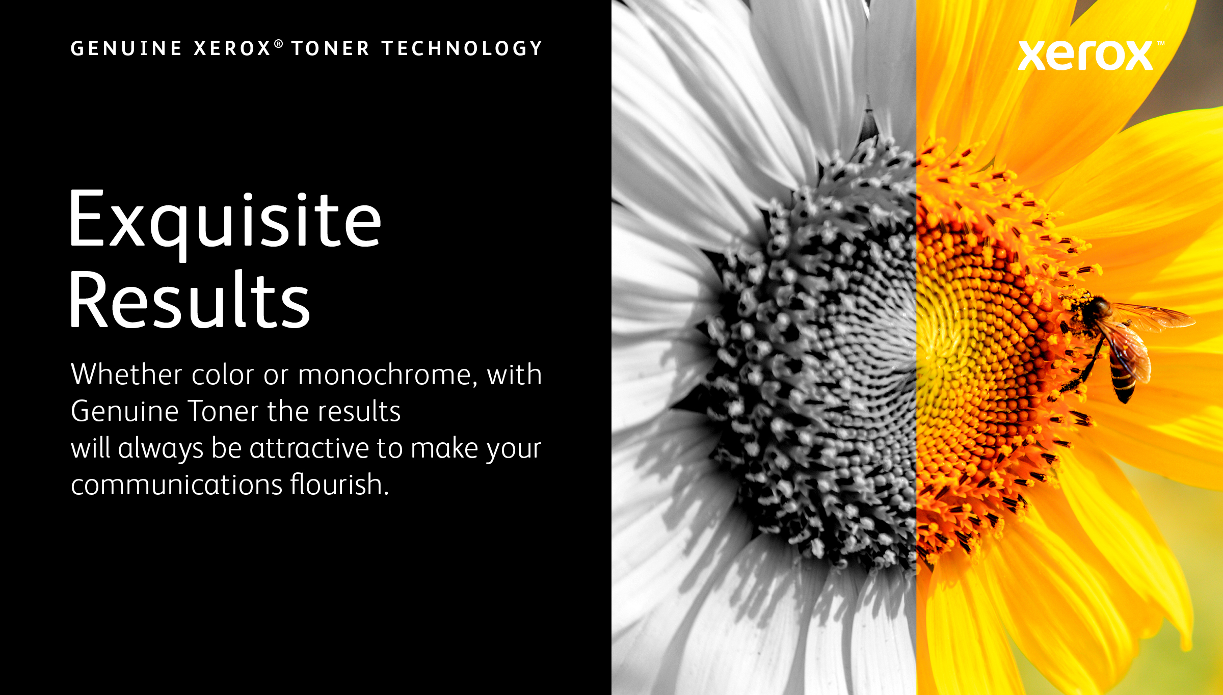 Xerox Värikasetti cyan 5.500 sivua 006R04365 Vastaa: N/A