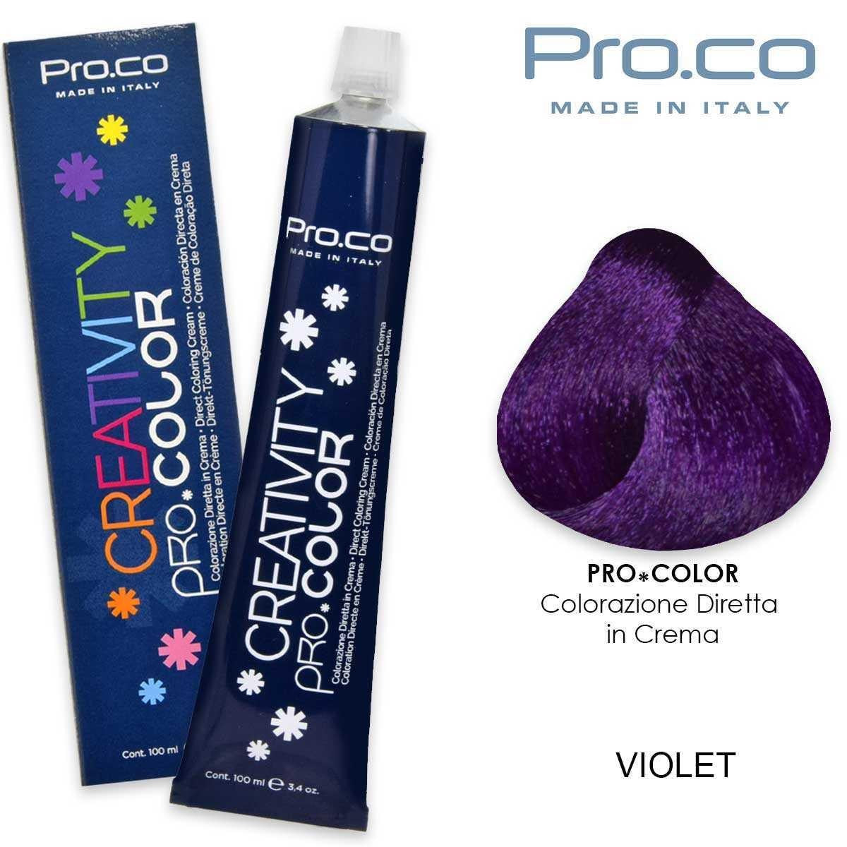 Creativity Pro.Color 100Ml Violetti