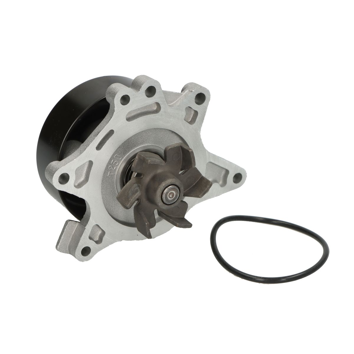 Vesipumppu DOLZ T230