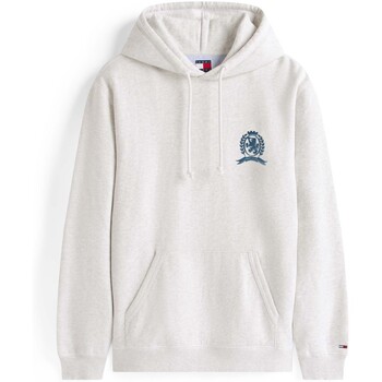 Tommy Jeans Collegepaita 'PLAY' sininen / harmaa / pastellinvihreä / tummanpunainen