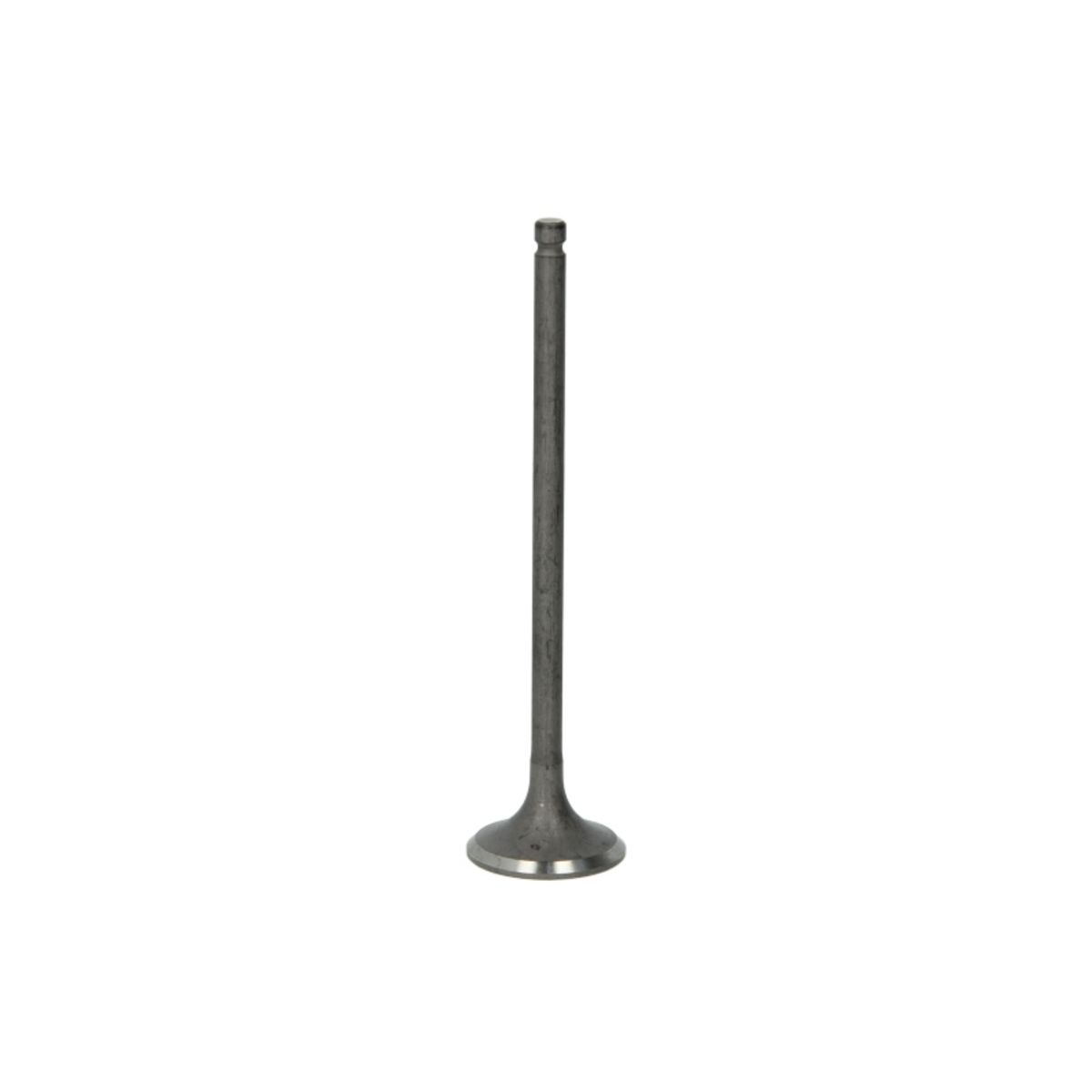 Pakoventtiili FRECCIA R6541/RNT
