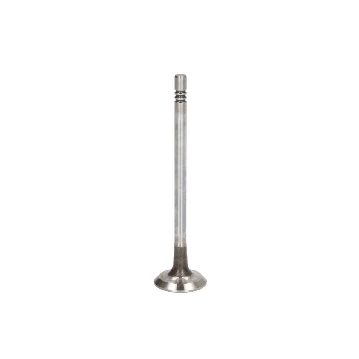 Imuventtiili FRECCIA R6395/SCR