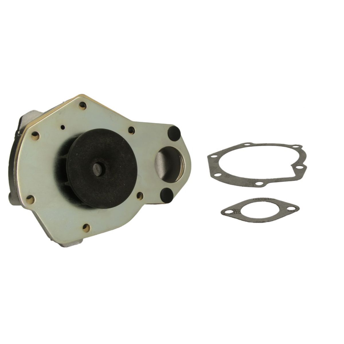 Vesipumppu HEPU P819