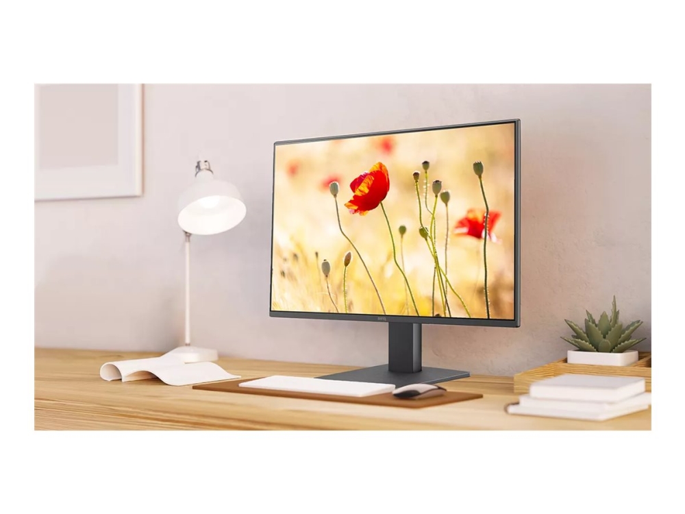 24" BenQ GW2491 - 1920x1080 (FHD) - 100Hz - IPS