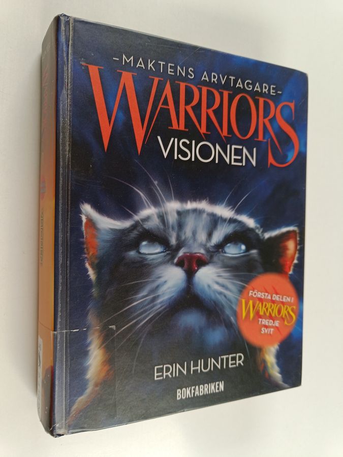 Warriors 3. Visionen