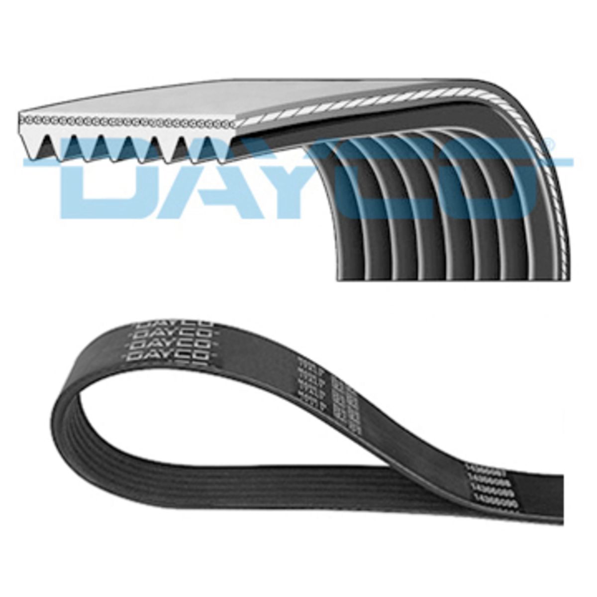 Moniurahihna DAYCO 8PK1815HD