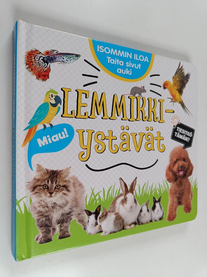 Isommin iloa - Lemmikkiystävät
