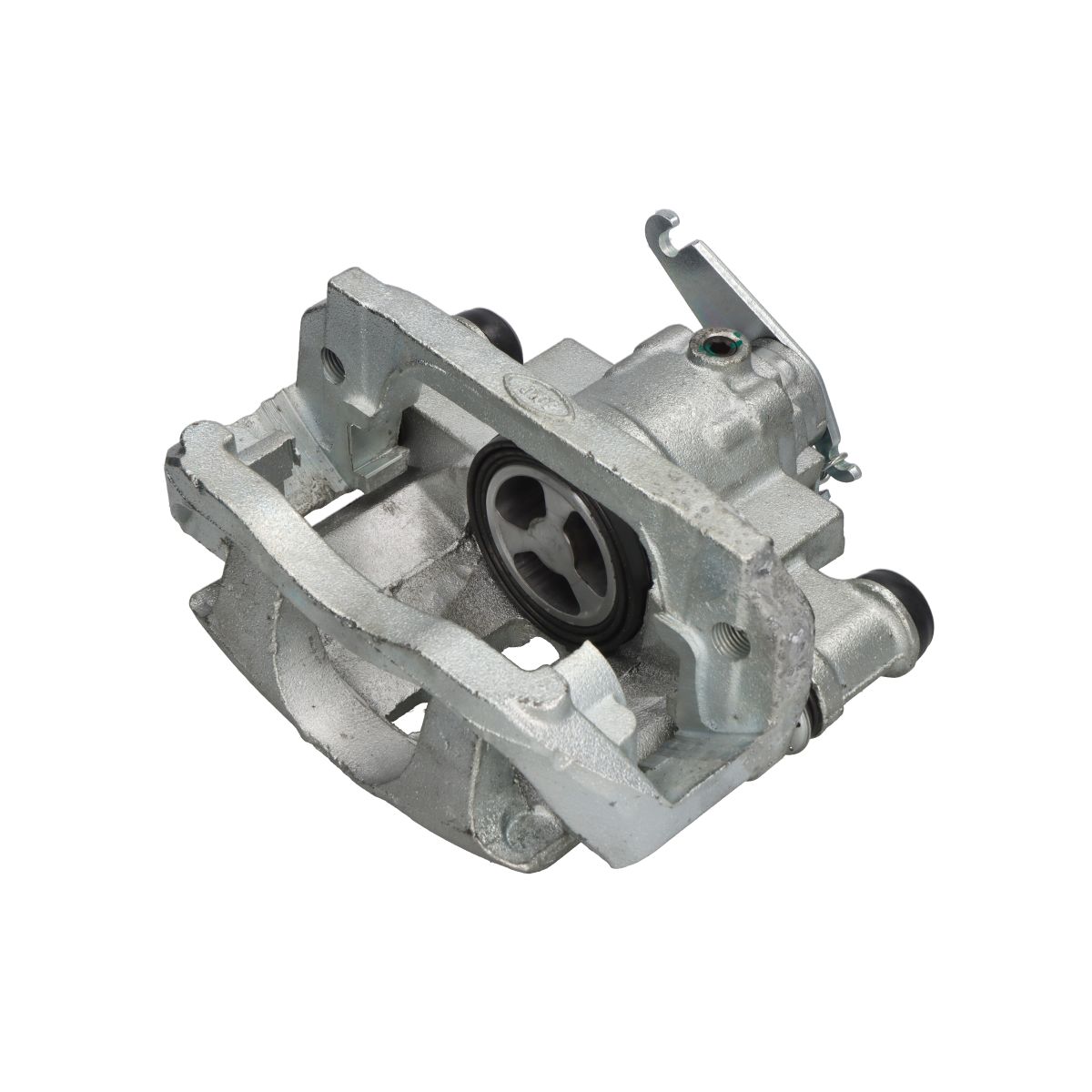 Jarrusatula SBP TEQ-BC.230