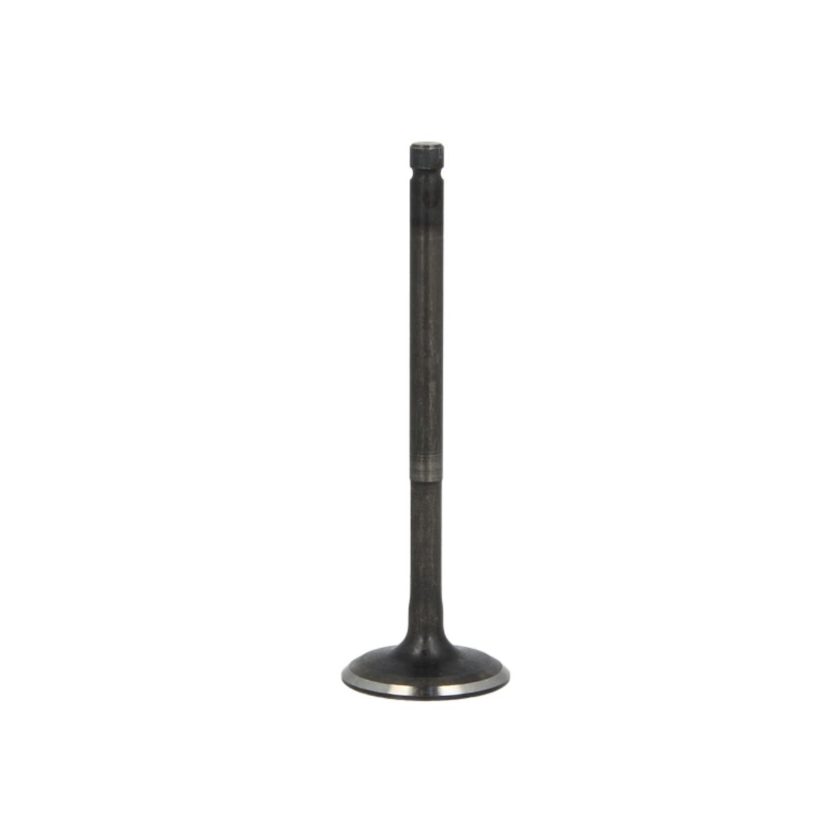 Imuventtiili FRECCIA R6611/SNT