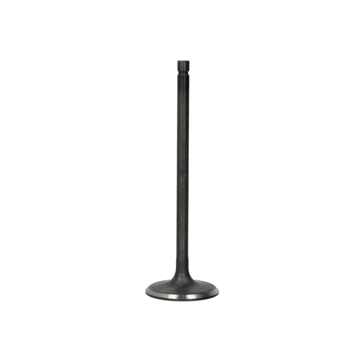 Imuventtiili FRECCIA R6603/SNT