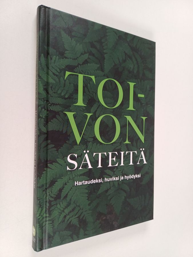 Toivon säteitä