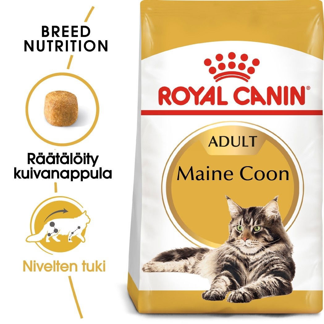 Royal Canin FBN Maine Coon Adult dry cat food - 10kg