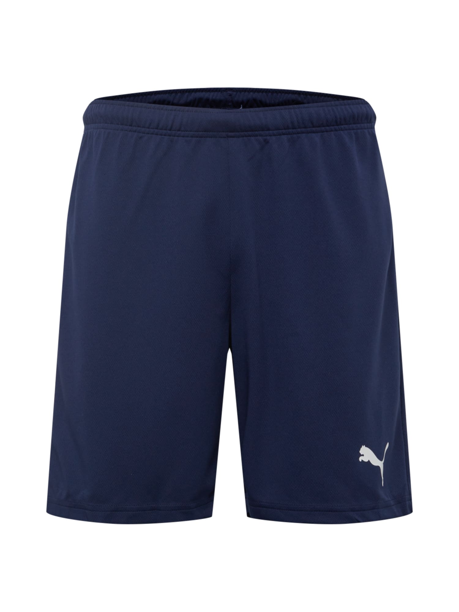 Shortsit & Bermuda-shortsit Puma TEAMRISE MATCHDAY EU S