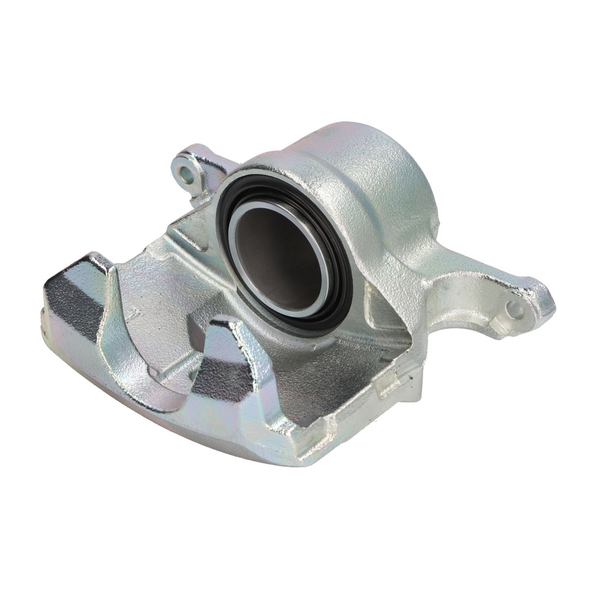 Jarrusatula BUDWEG CALIPER 344966