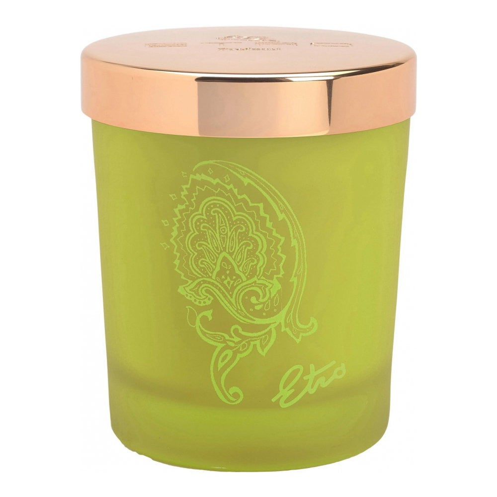 Etro Dafne-tuoksukynttilä 170 g