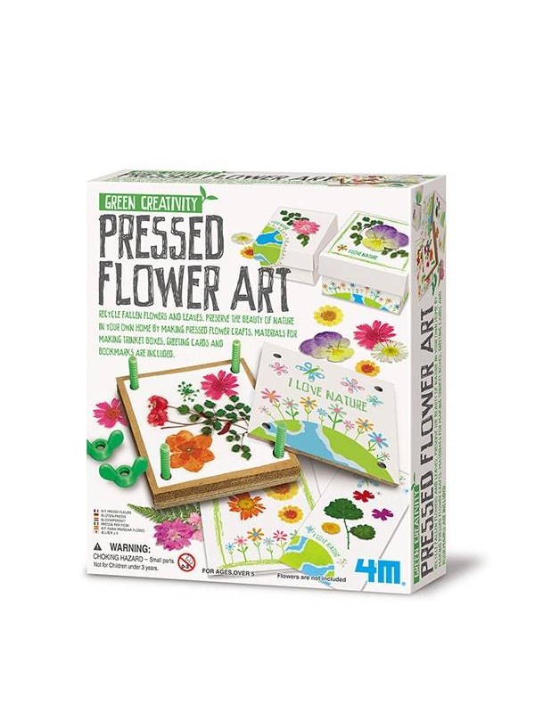 4M Vihreä Creativity/Pressed flower art