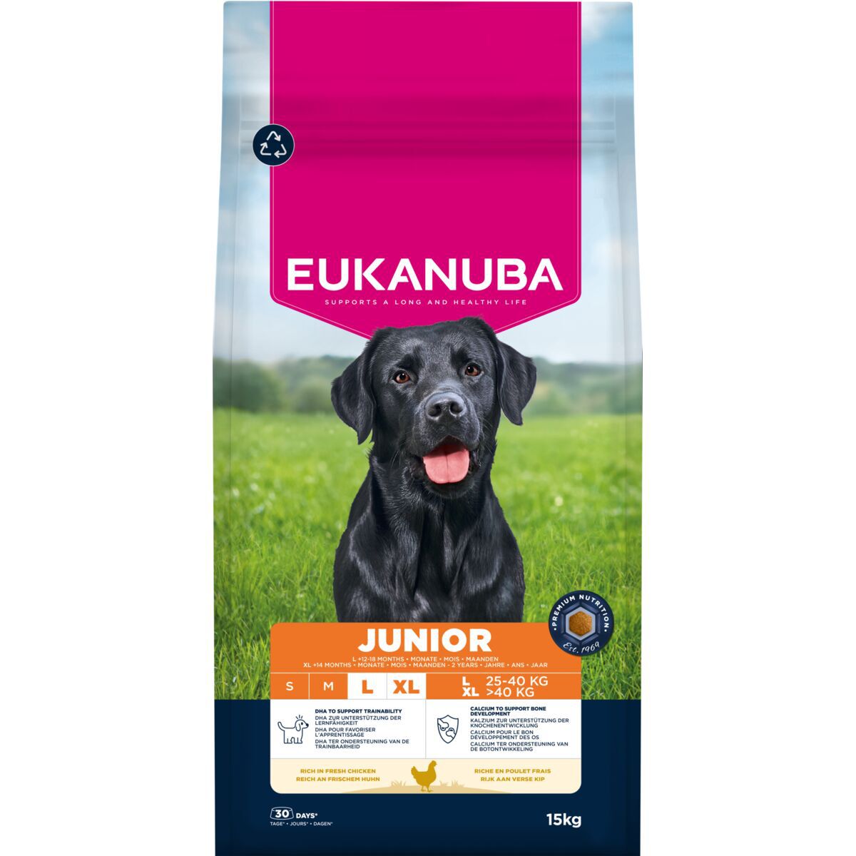 Eukanuba Dog Junior Large 2 x 15kg