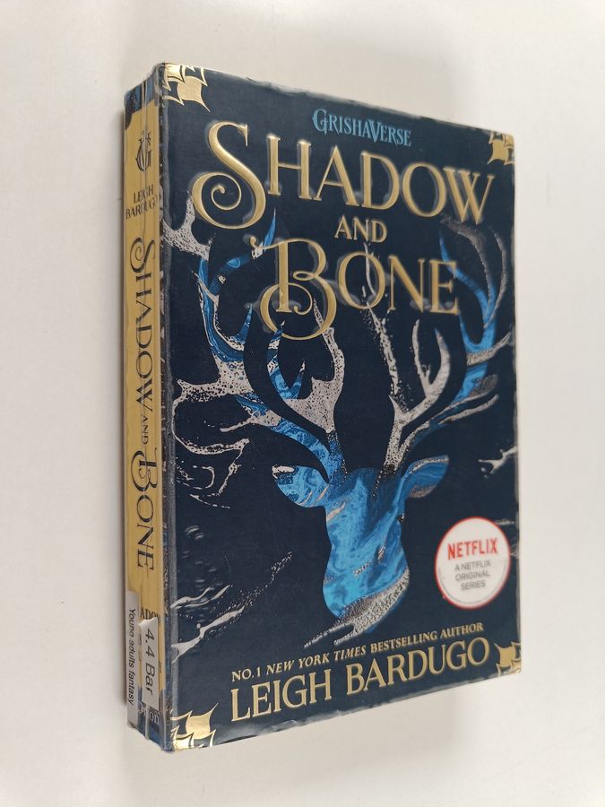 Shadow and Bone
