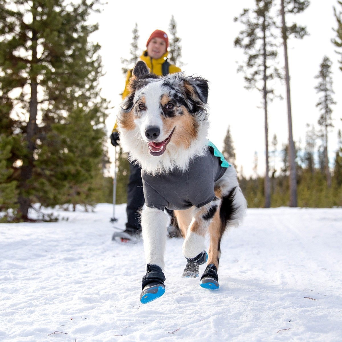 Ruffwear Polar Trex - tossut 2kpl, musta